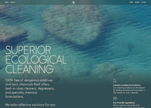 Reef Cleaning Company